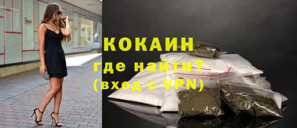 индика Покров