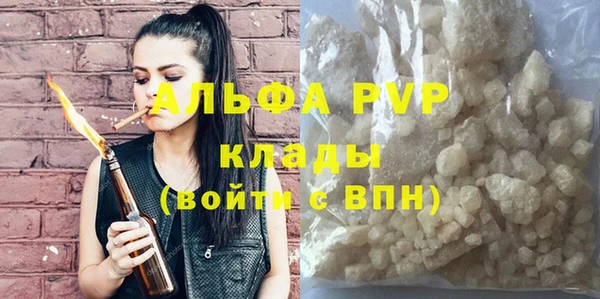 PSILOCYBIN Пересвет