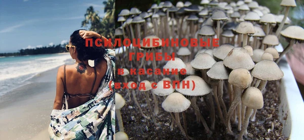 спиды Пестово
